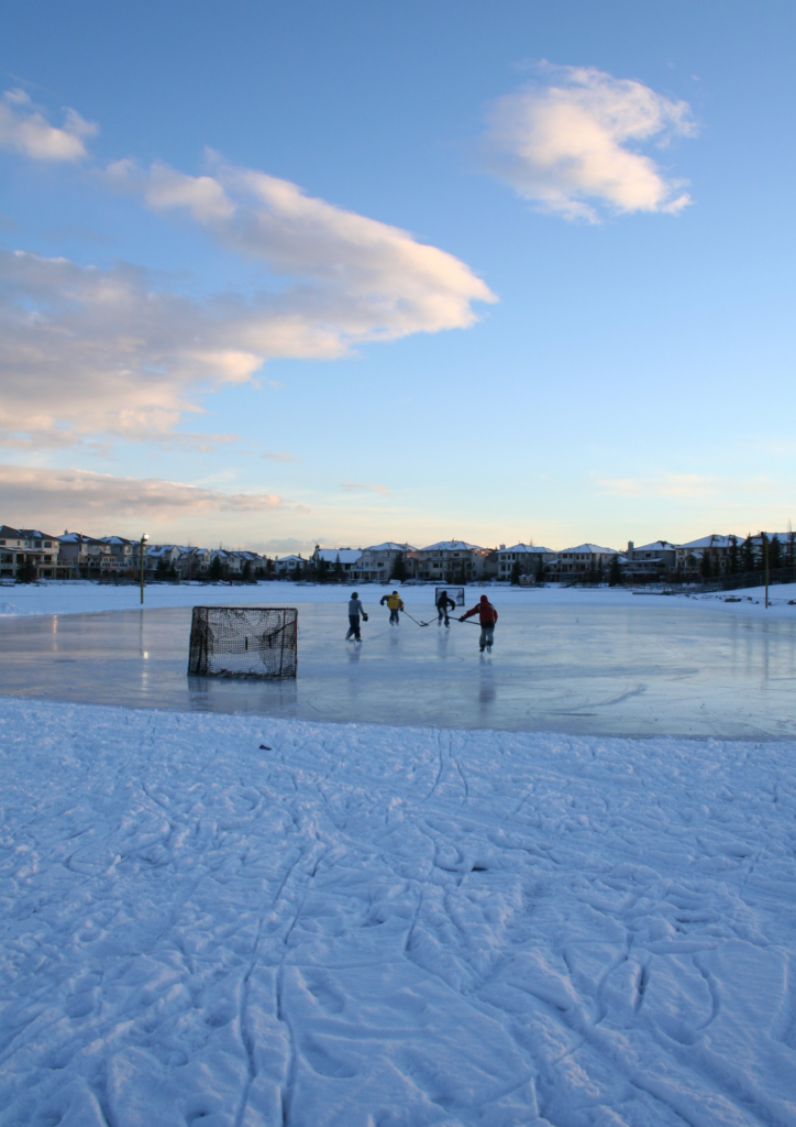 Sklep Street of Hockey dba o naturę - ubrania w duchu fair play